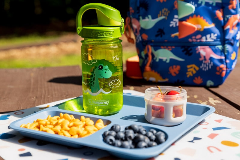Nalgene product view: 12oz On-The-Fly Kids Lock-Top Bottle with Graphics N1 — 12oz On-The-Fly Kids Lock-Top Bottle with Graphics